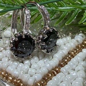 Elegant Black and Silver Hoop Earrings